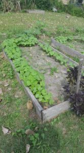 14492618_1033942180051957_8974582156610561794_n