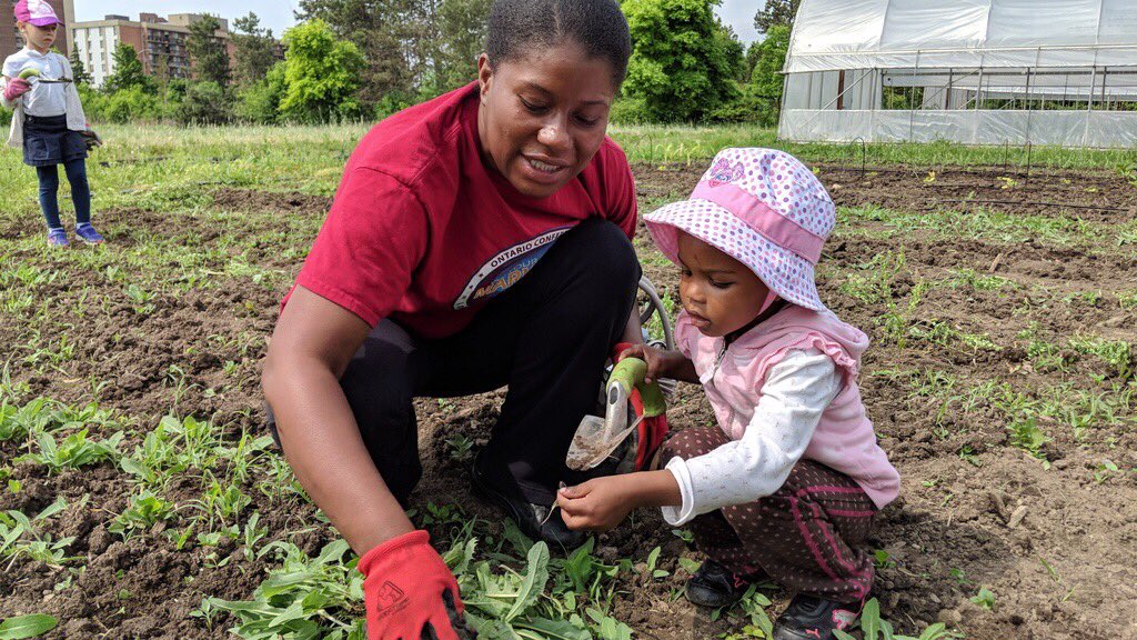 5 Vegetables That Are Easy To Grow For A KidFriendly Garden All African People's Development